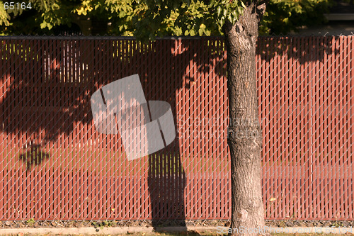 Image of Red Fence behind a Tree