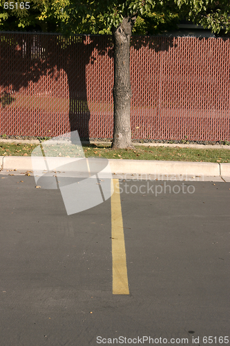 Image of Tree in a Parking Lot