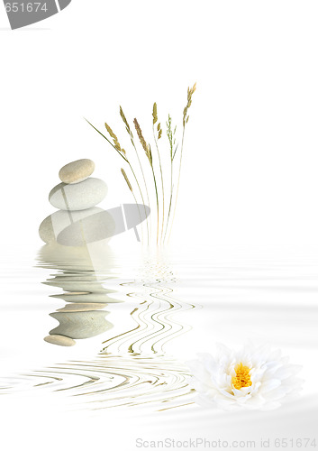 Image of Zen Pebbles, Grasses and Lotus Lily
