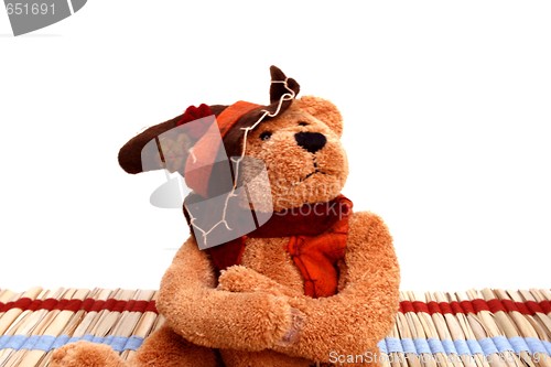 Image of Autumn colored teddy bear