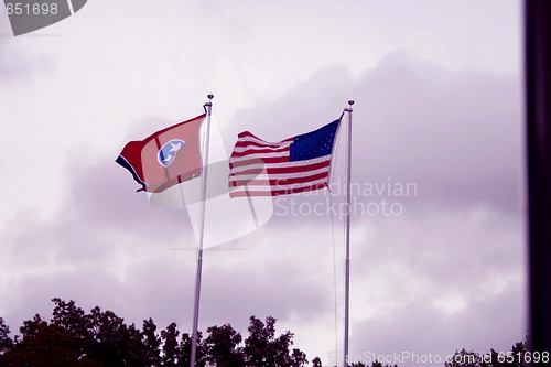 Image of US flags flying