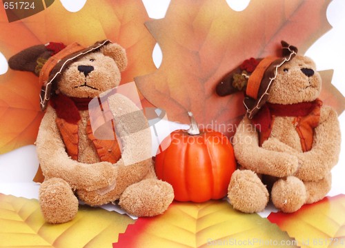 Image of Halloween teddy bears
