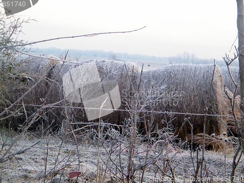 Image of Snow on hay stacks