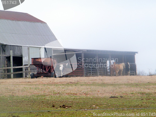 Image of Barn on farm with cows