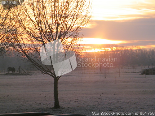 Image of Snow on the farm