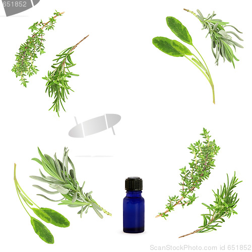 Image of Aromatherapy Herb Selection