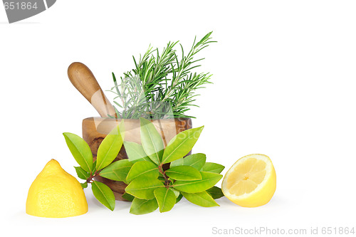 Image of Fresh Herbs and Lemon