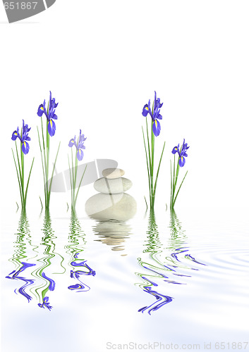 Image of Pebbles and Iris Flowers 