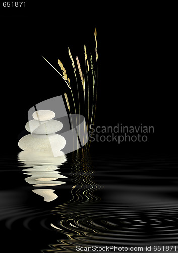 Image of Zen Harmony