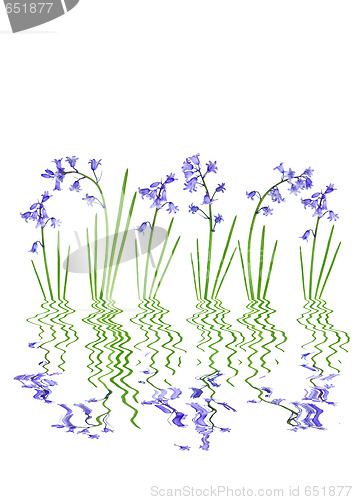 Image of Abstract Spring Bluebells