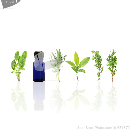 Image of Essential Aromatic Herbs 