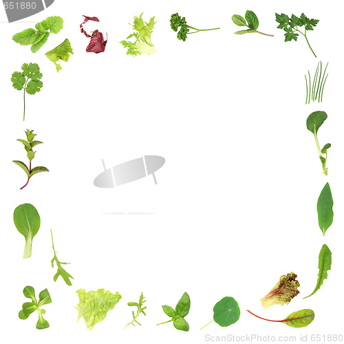 Image of Herb and Lettuce Leaf Border