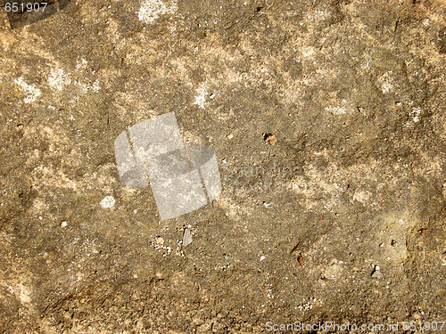 Image of Plasterwork