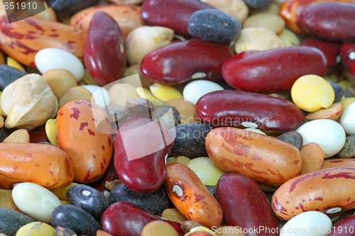 Image of Legumes