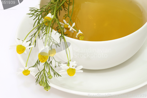 Image of Camomile tea