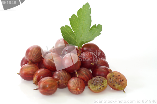 Image of Gooseberry