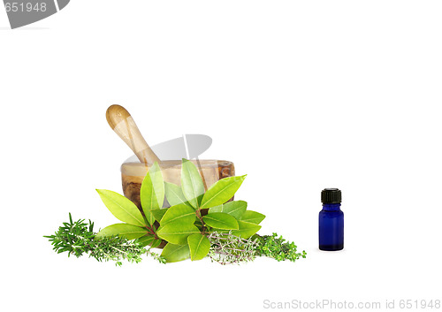 Image of Medicinal and Culinery Herbs