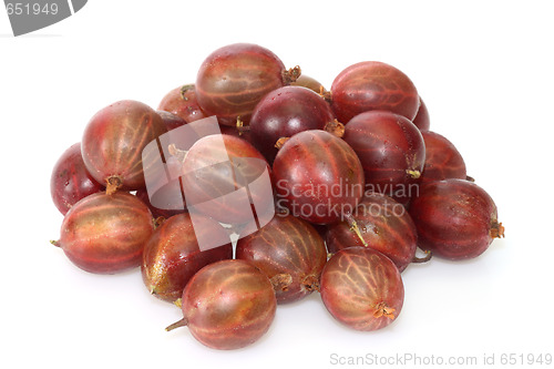 Image of Gooseberry