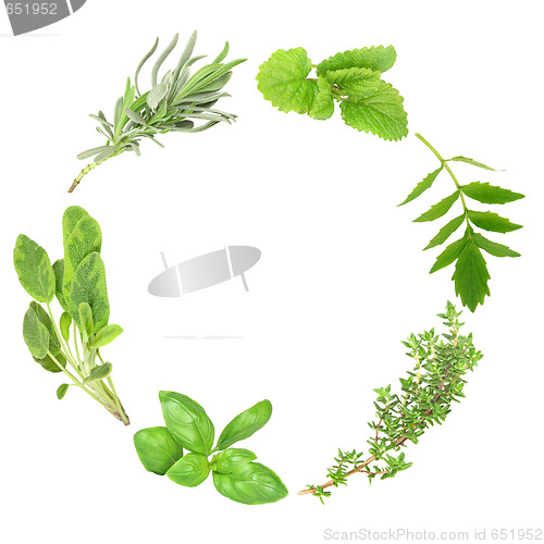 Image of Mixed Herb Garland