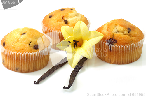 Image of Vanilla muffins