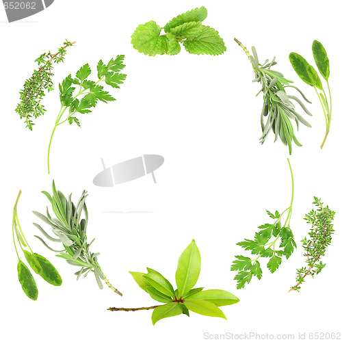 Image of Herb Beauty