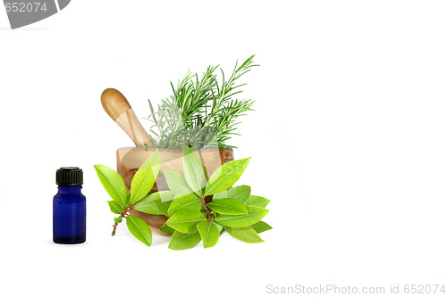 Image of Rosemary and Bay Essential Herbs
