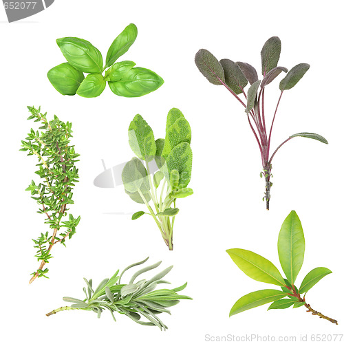 Image of Organic Herb Selection