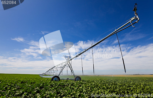 Image of Irrigation tool
