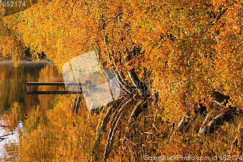 Image of Colourful Autum  by Lake