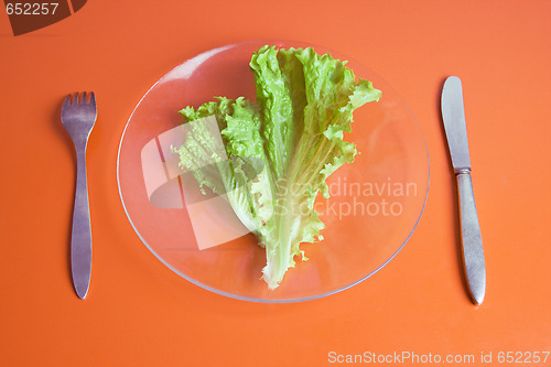 Image of Dieting