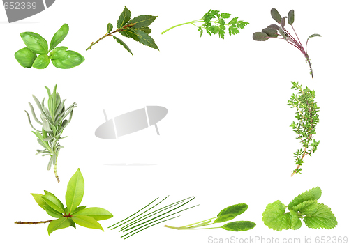 Image of Fresh Scented Herbs