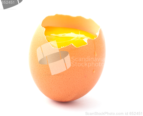 Image of open egg