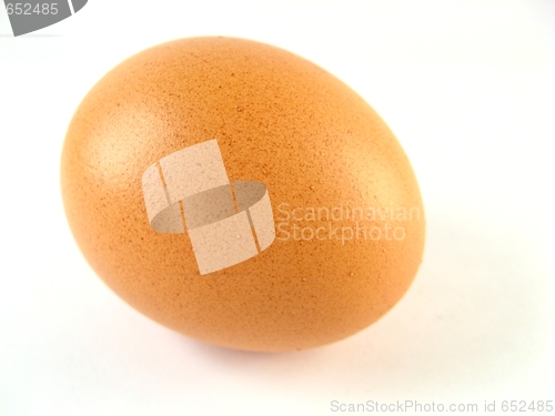 Image of Egg