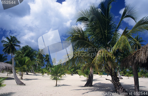 Image of Saona island landscape - Dominican republic
