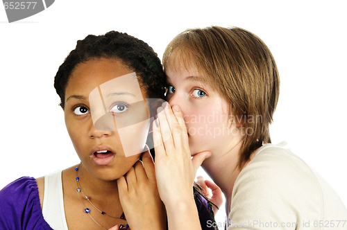 Image of Two girlfriends gossiping