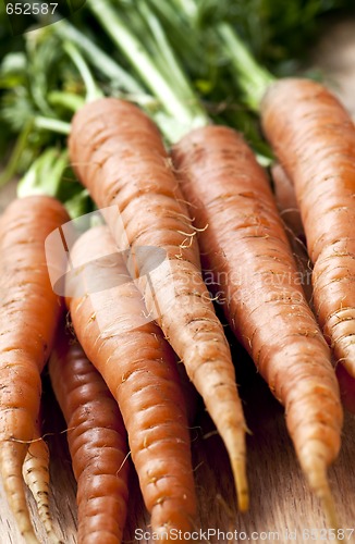 Image of Carrots