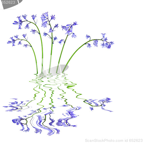 Image of Bluebellls