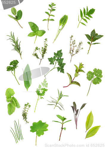 Image of Herbs