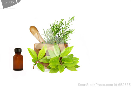 Image of Rosemary and Bay Leaf Herbs