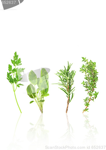 Image of Parsley, Rosemary, Sage and Thyme