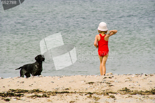 Image of The girl plays with a dog on a beach