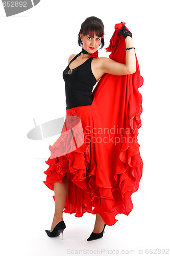 Image of Flamenco dancer