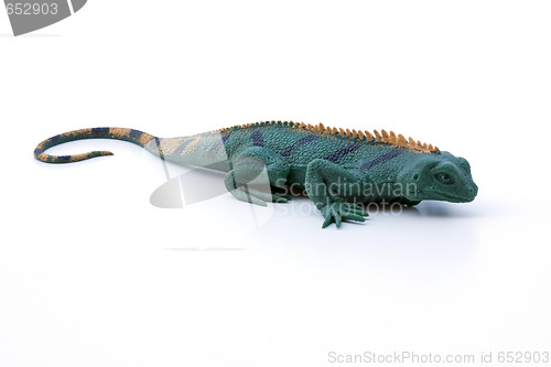 Image of Rubber Lizard