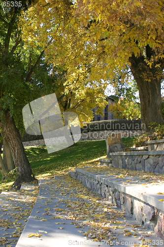 Image of Trees in the Baseball Park