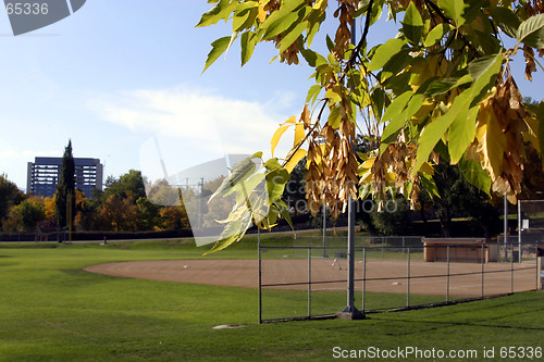 Image of Baseball Field with Leaves in Focus