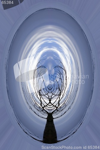 Image of Abstract Art - Tree Tunnel