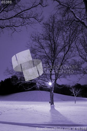 Image of Light Post, Snowy Hill, Trees and it is Winter Time