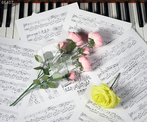 Image of Flowers and Music