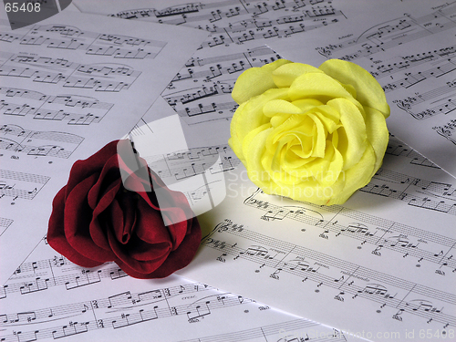 Image of Roses and Music 2