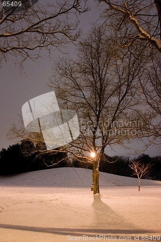 Image of Light Post, Snowy Hill, Trees and it is Winter Time